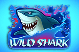 Wild Shark – podwodny slot z rekinami i scatterami